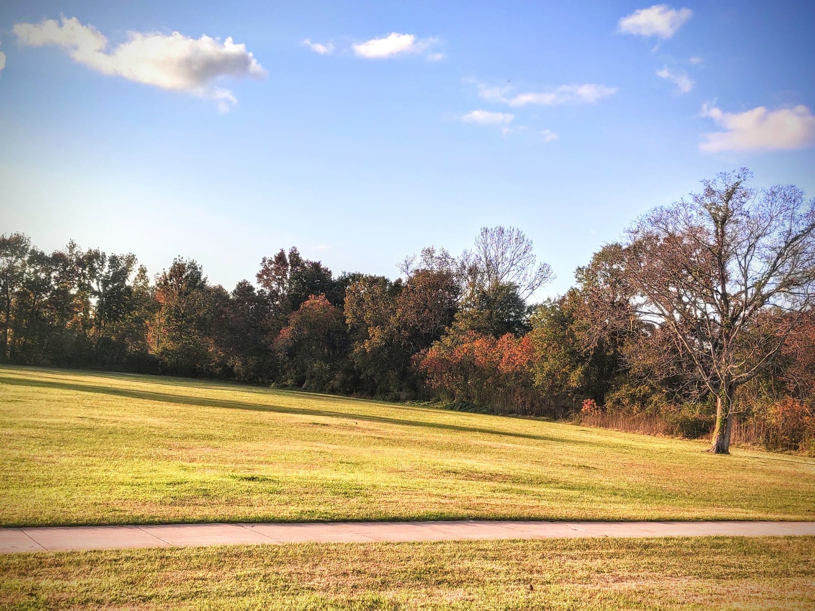 Rogers Park Community Center, photo 2