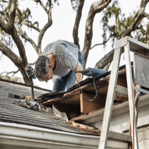 Lion Roofing