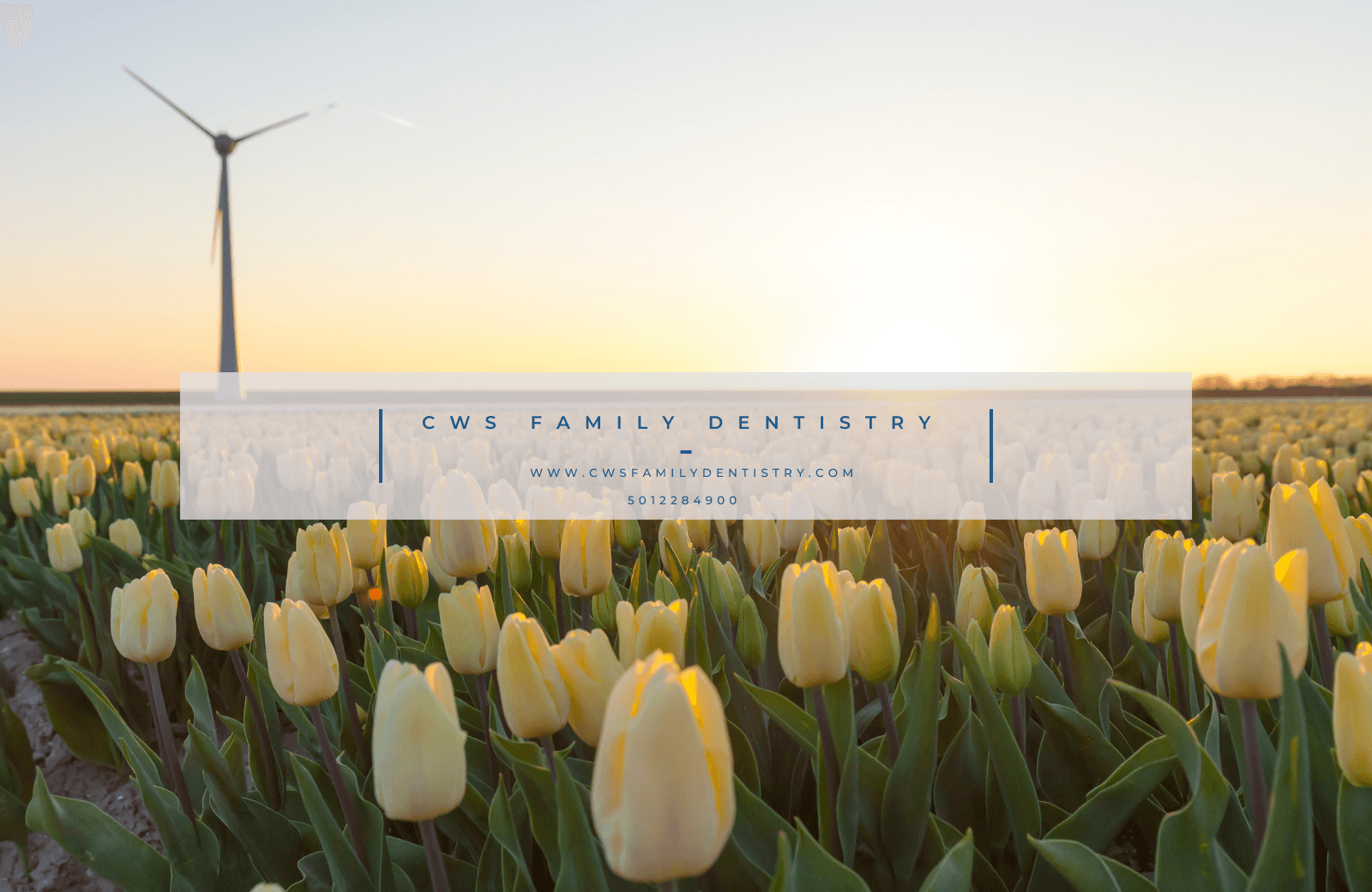CWS Family Dentistry, photo 3