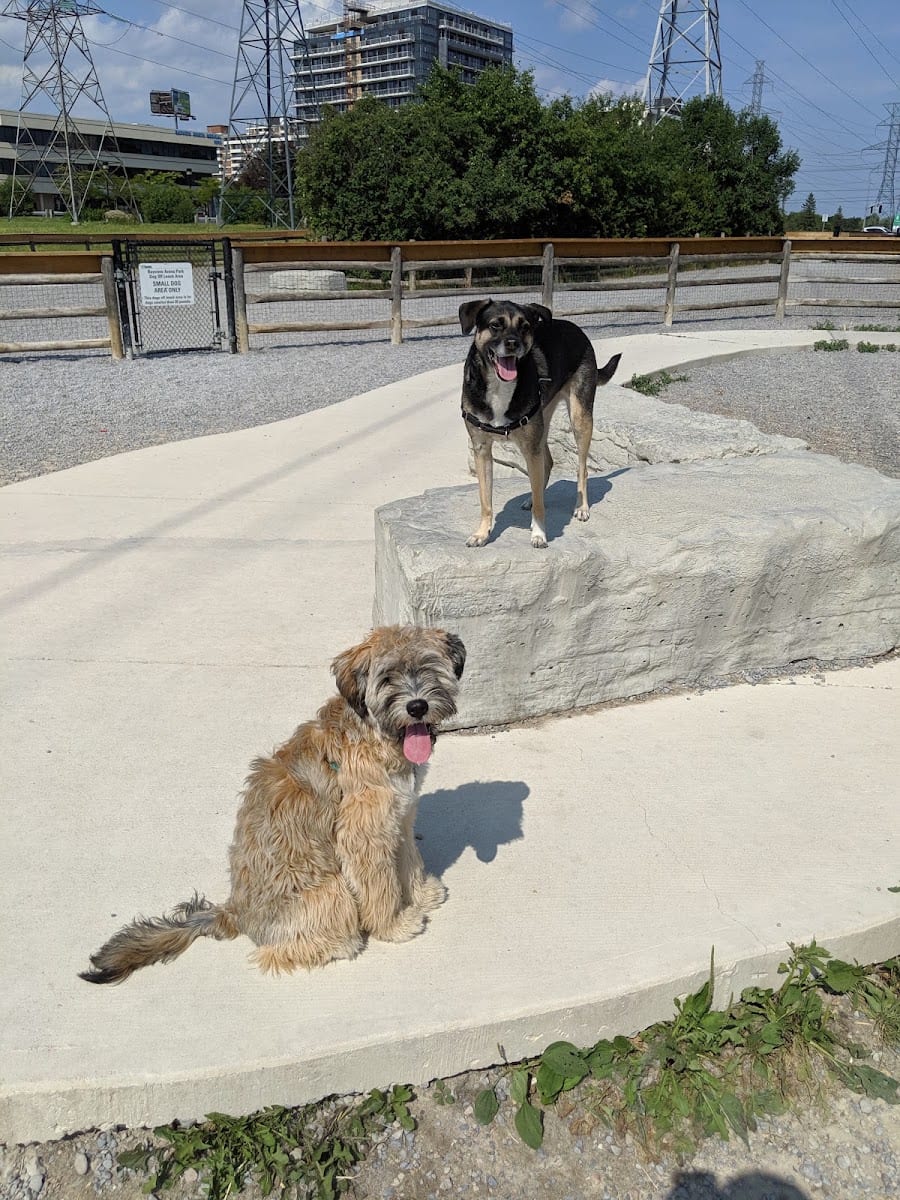 Willowdale Off-Leash Dog Park, photo 3