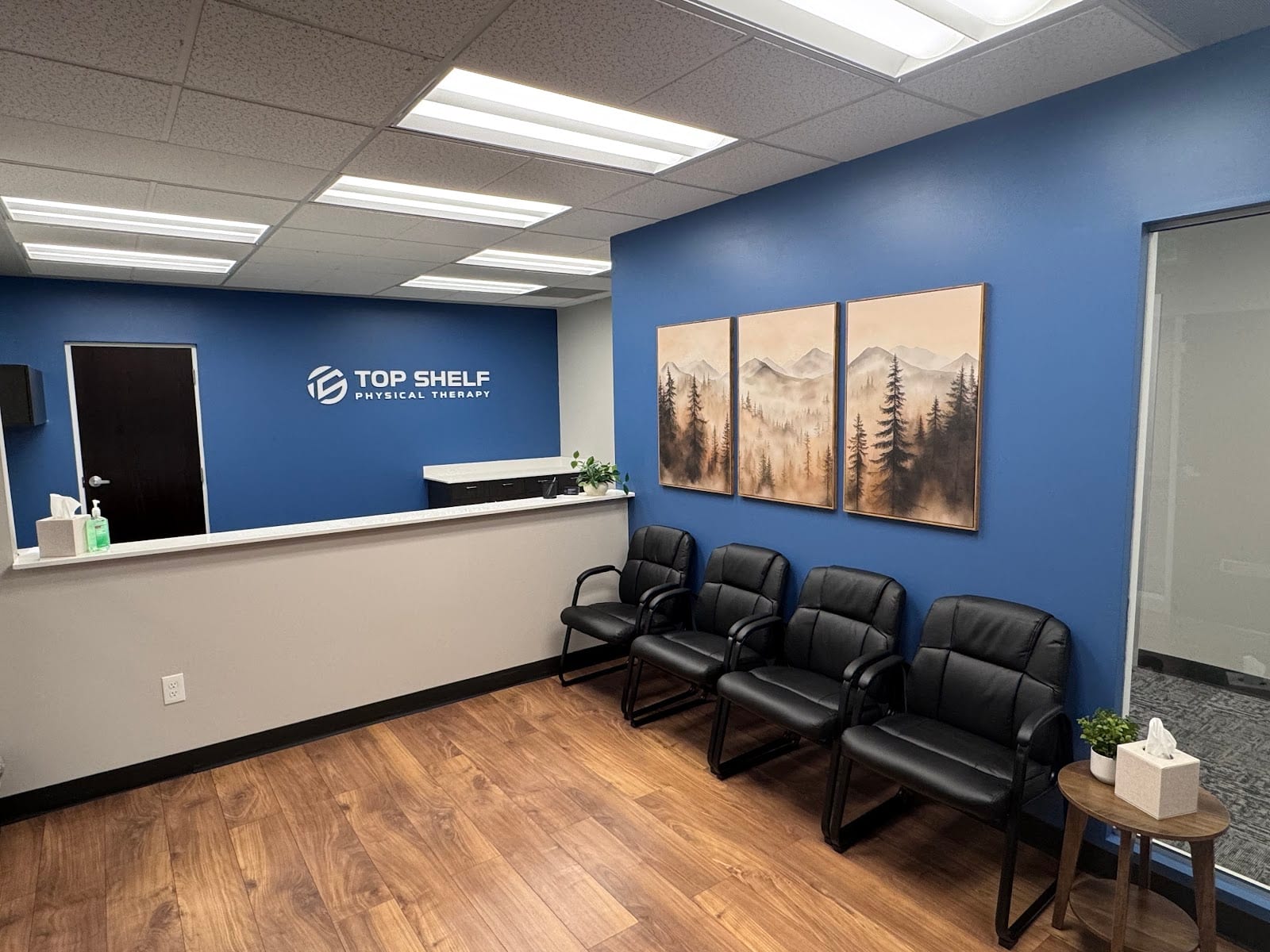 Top Shelf Physical Therapy