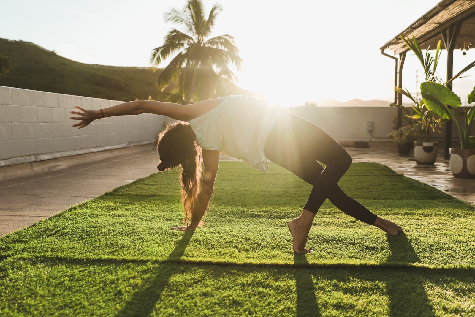 Yoga Under the Palms, photo 4