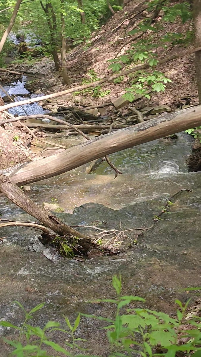 Turning Point Falls, photo 2