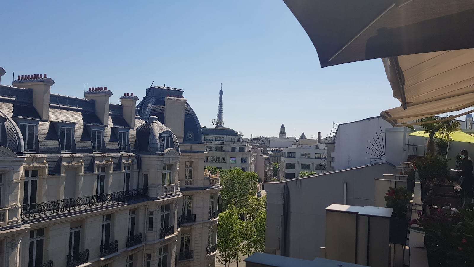 W Terrasse Bar, photo 3