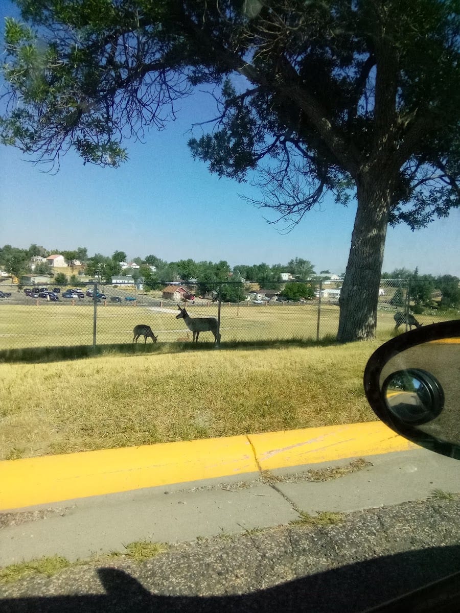 Health Care For the Homeless, photo 2