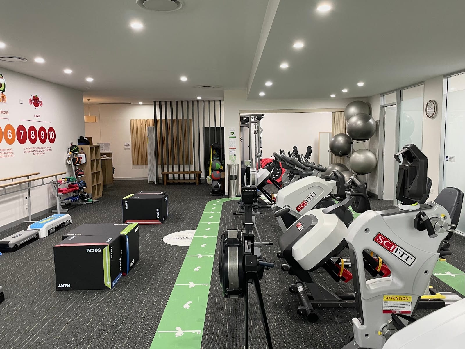 LifeInMotion Exercise Physiology Clinic, photo 3