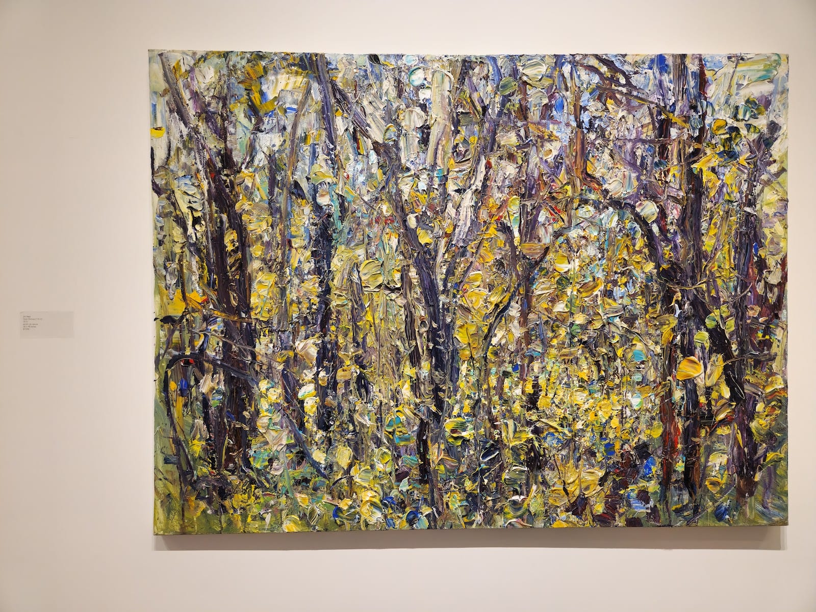 Lonsdale Gallery