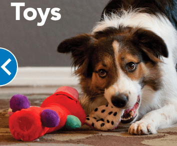 PetSmart - Littleton (Highlands Ranch), Store 0229, photo 4