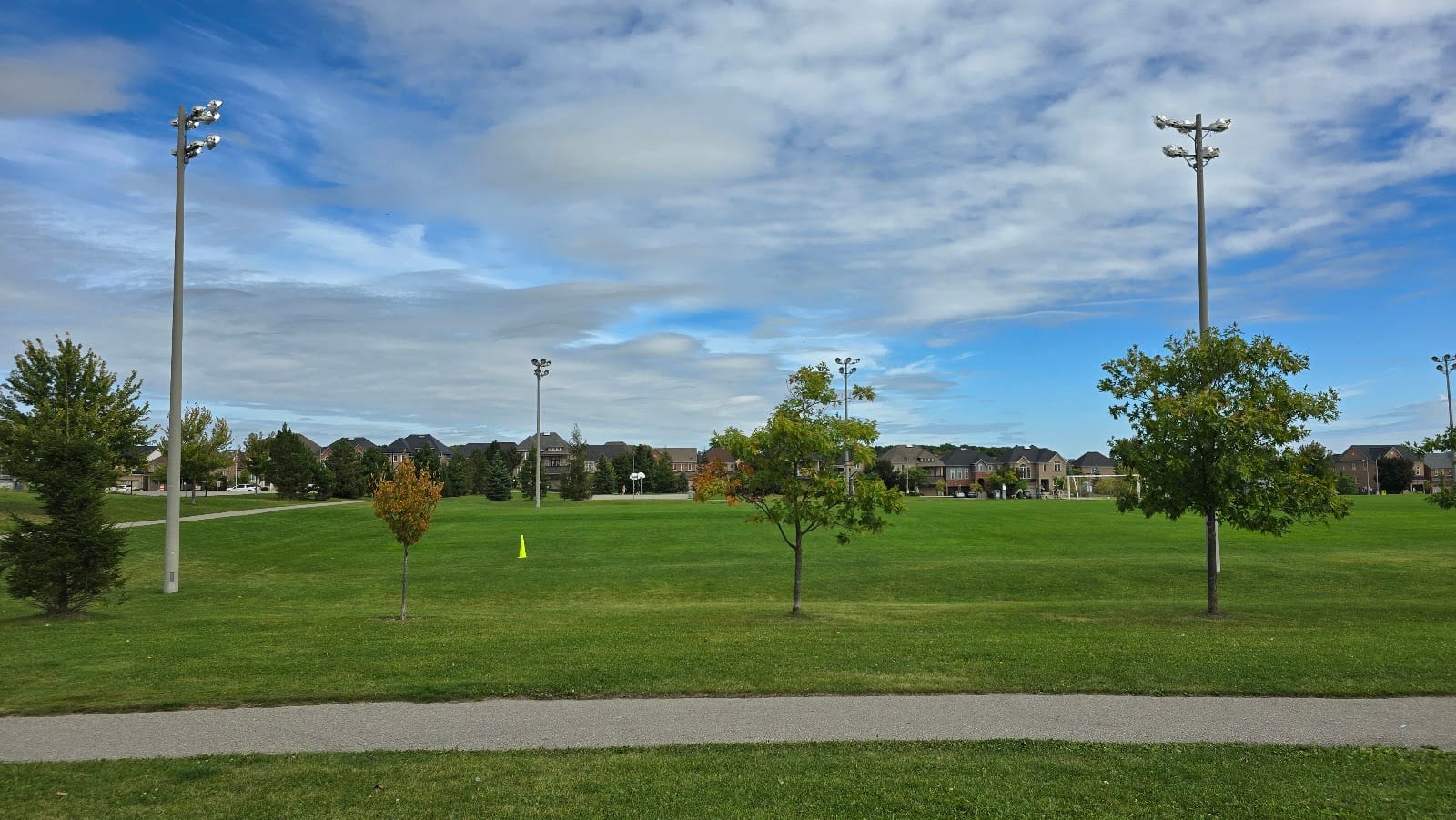 Soccer Field, photo 3