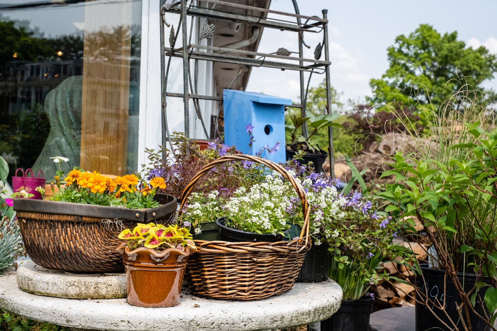 Denny Wiggers Garden Center, photo 3