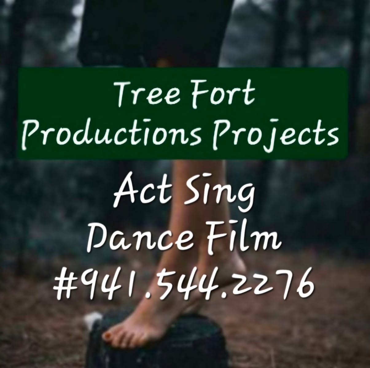 Tree Fort Productions, photo 3
