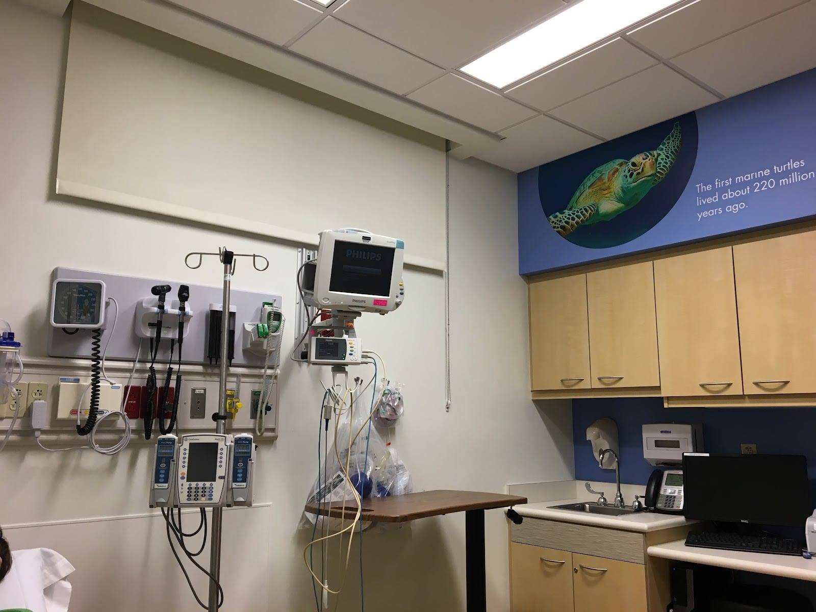 Baptist & Wolfson Clay Emergency Room (ER), photo 3
