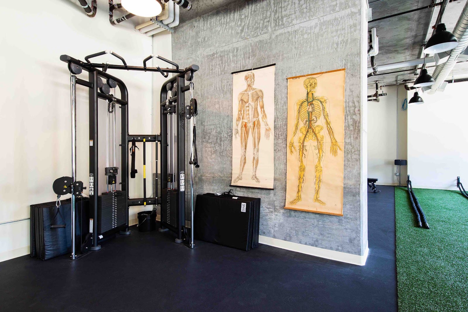 Agile Physical Therapy, photo 4
