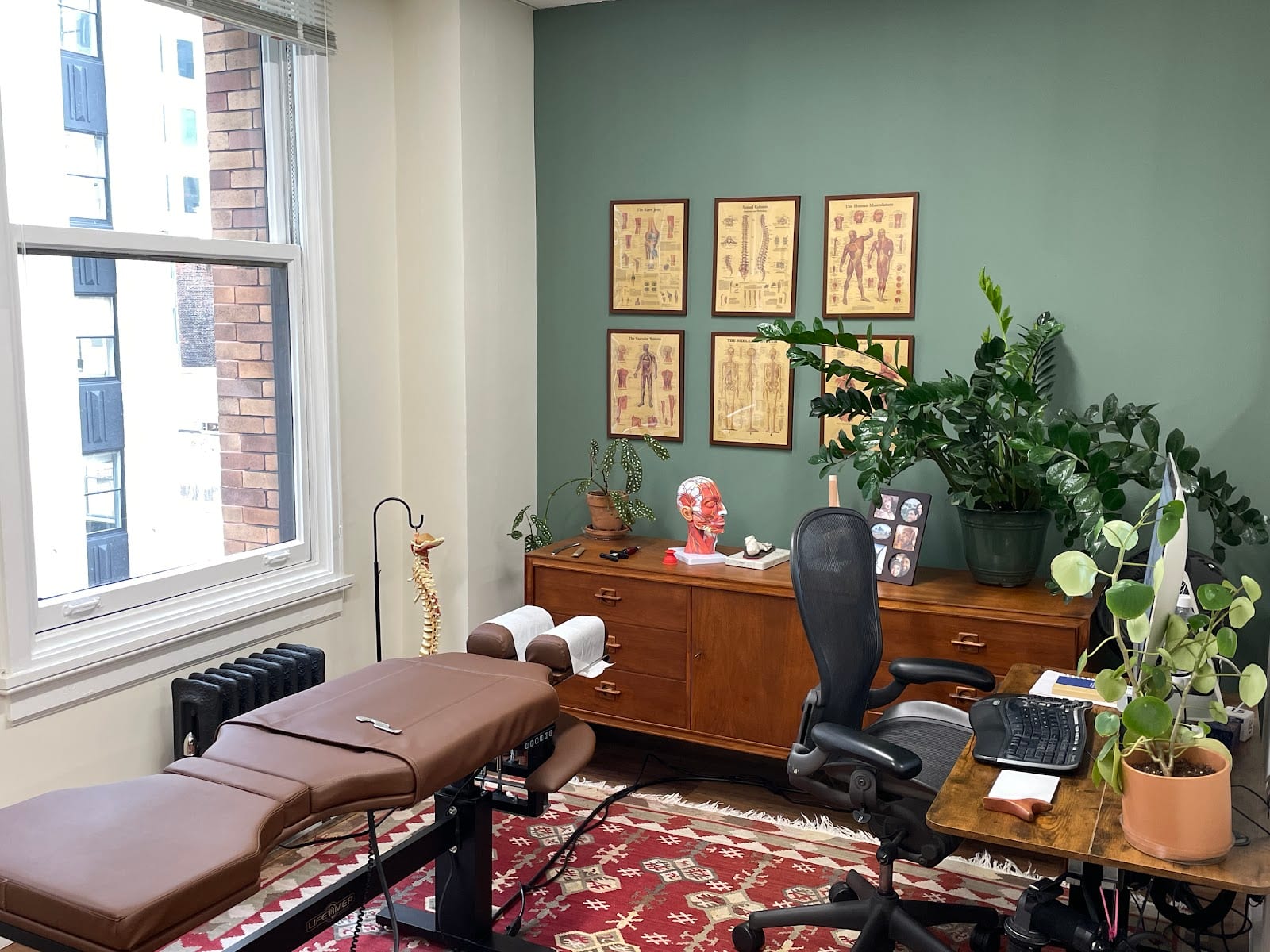 ProActive Chiropractic, photo 4