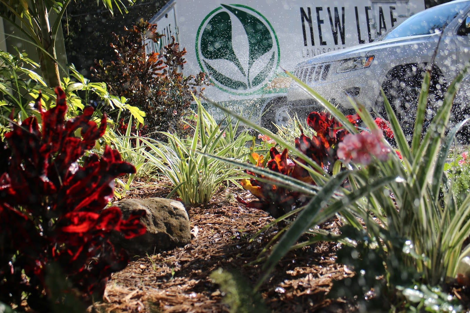 New Leaf Landscape Management, photo 2