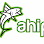 Ahipoki