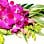 Herbal Spa And Salon