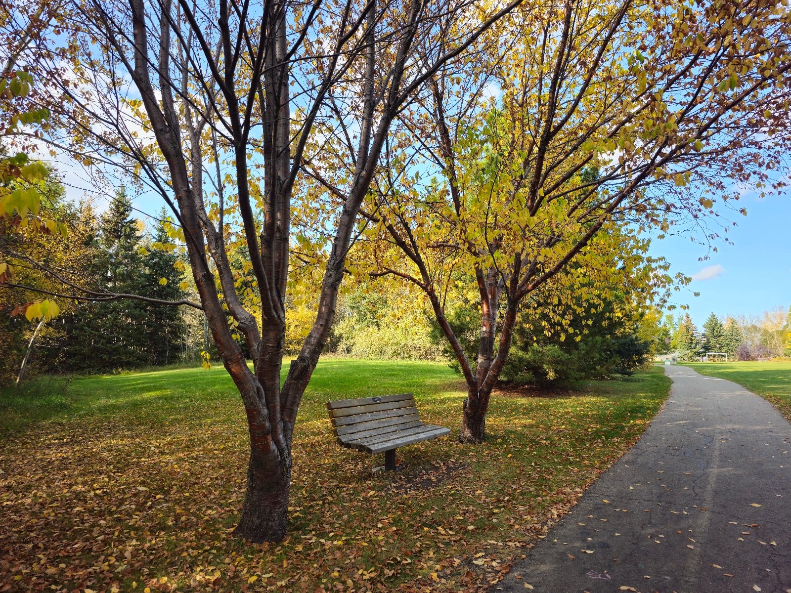 Glen Allan Park, photo 3