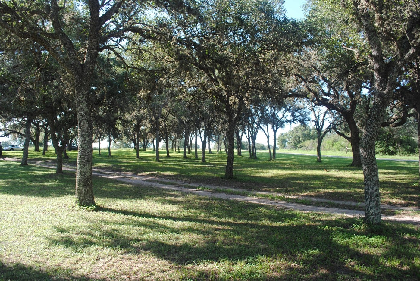Jacob Realty Brenham, photo 4