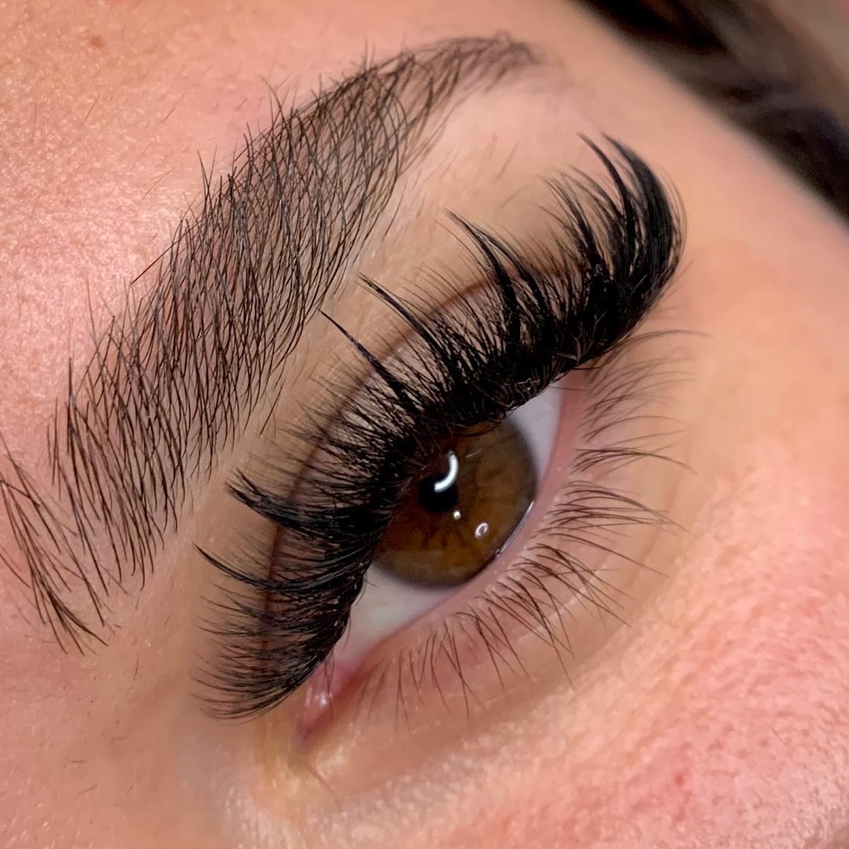 Lauren’s Lash Trap