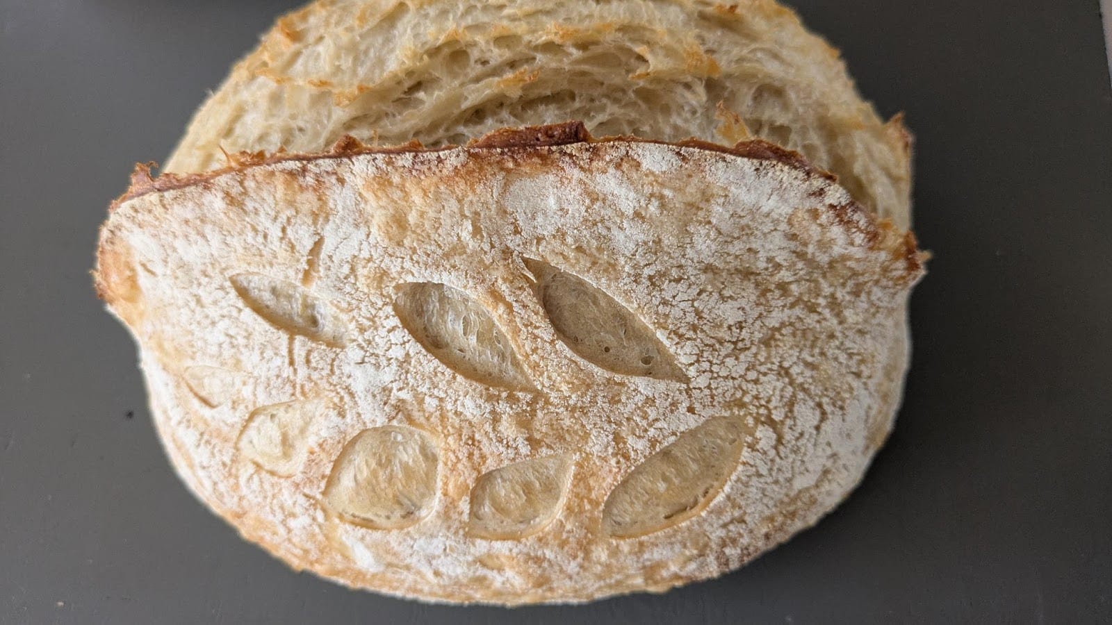 The Daily Dough, photo 2