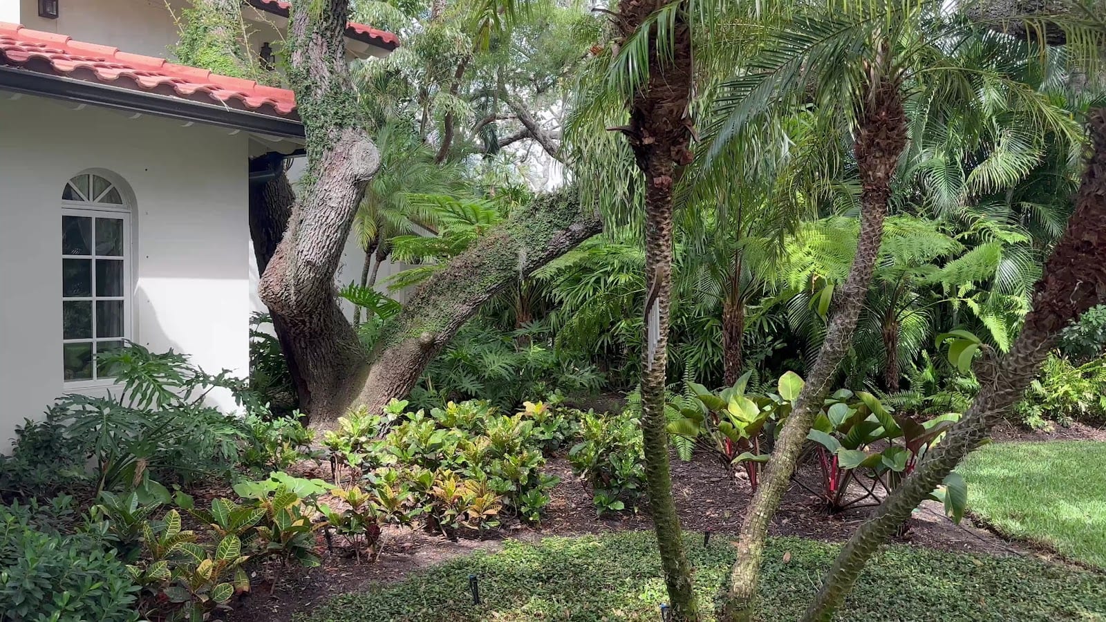Tropical Gardens Landscape, photo 4