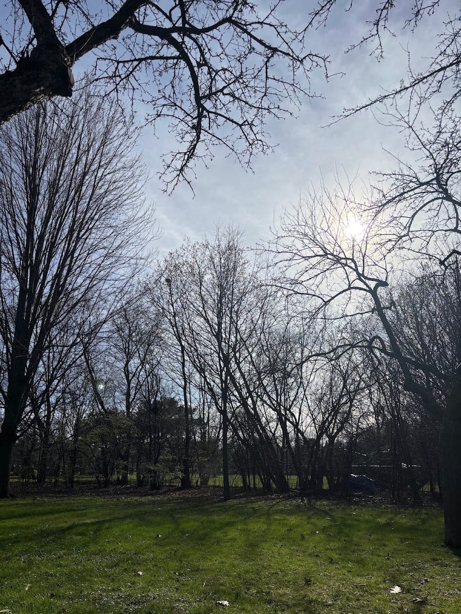 Beecroft Park, photo 3