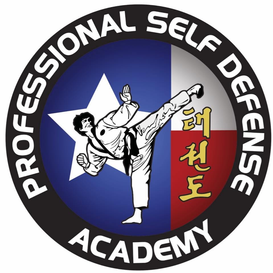 Professional Self-Defense Academy, photo 2