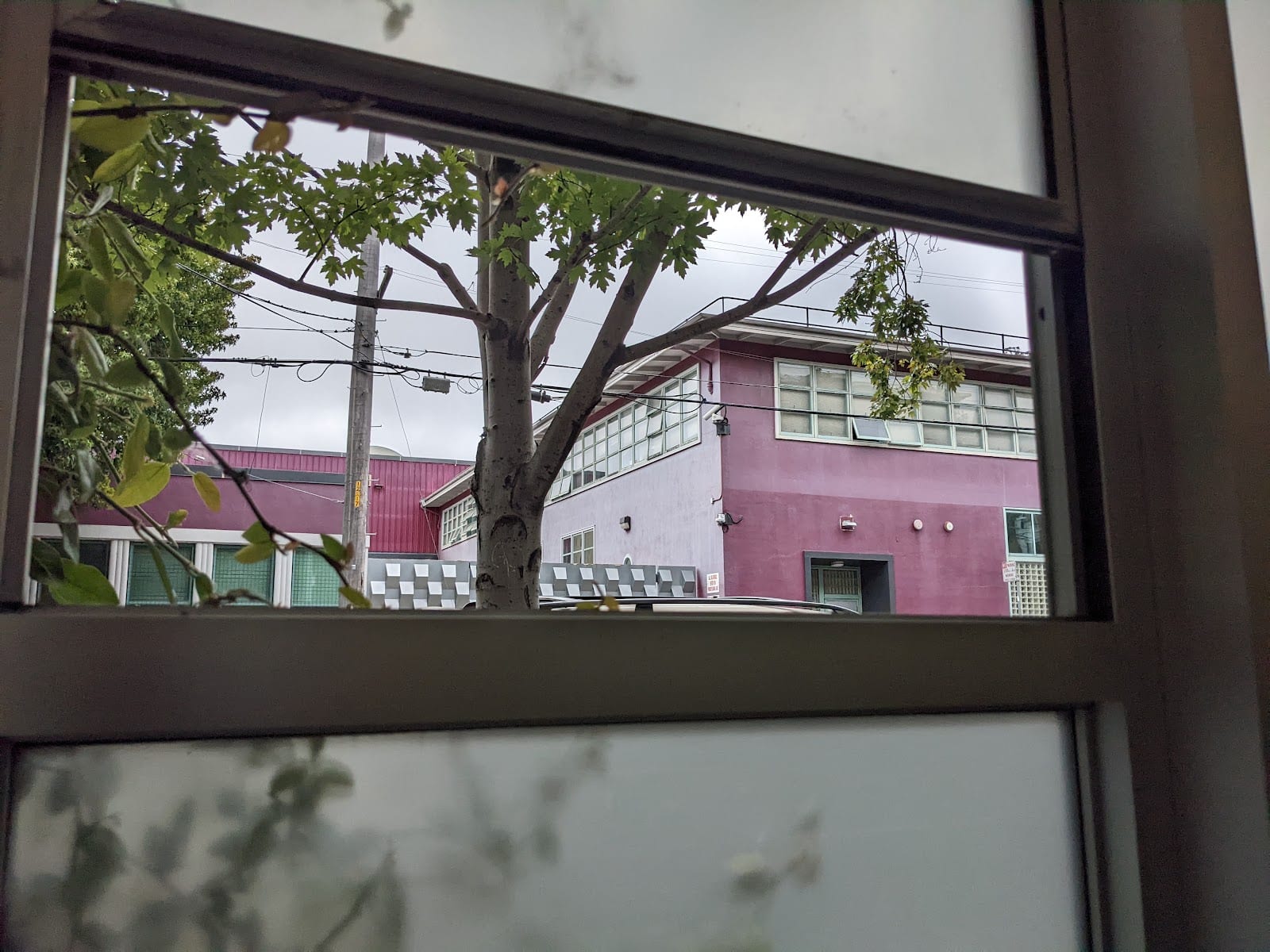 Romer Young Gallery, photo 3
