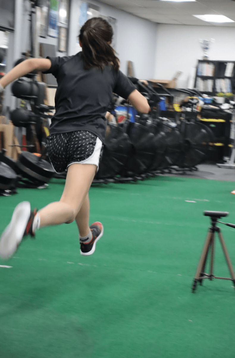The Athletes Gym