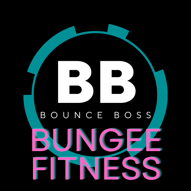 Bounce Boss Bungee, photo 2