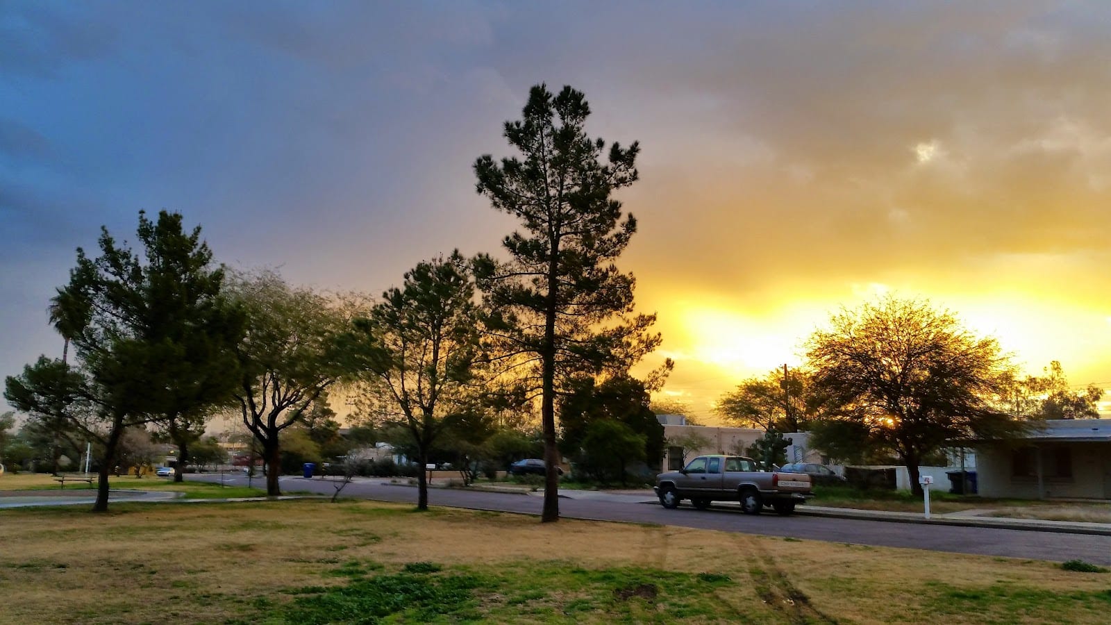 Mitchell Park, photo 3