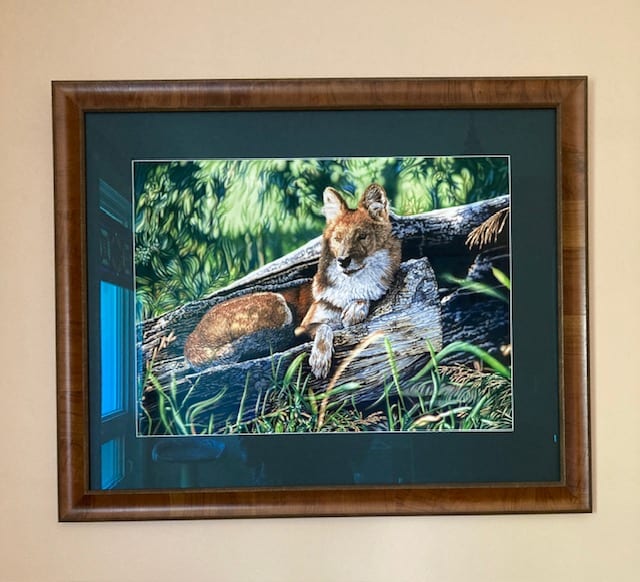 Latitude 44 Gallery Framing Decor, photo 4