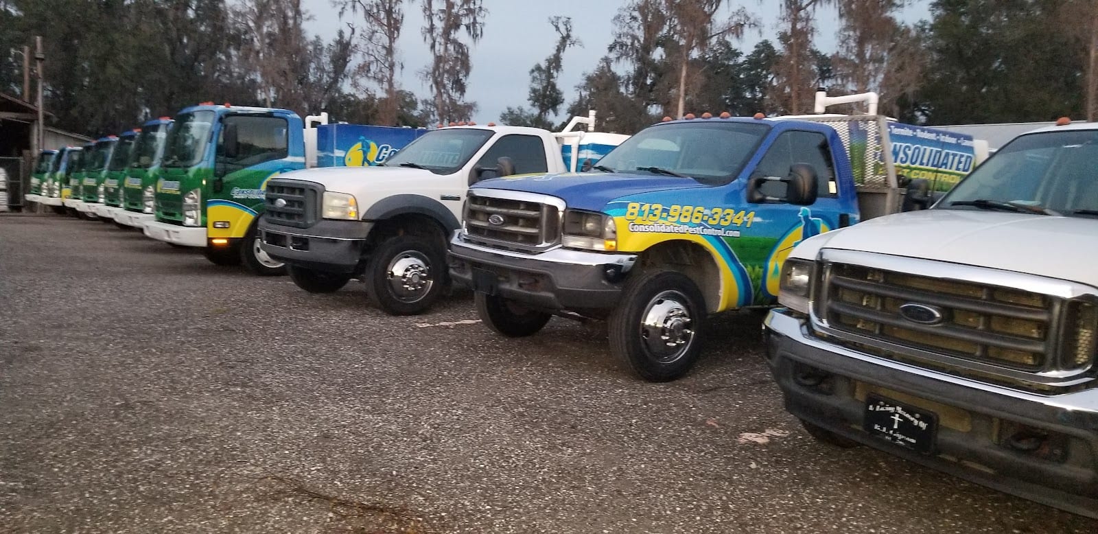 Consolidated Pest Control, photo 3