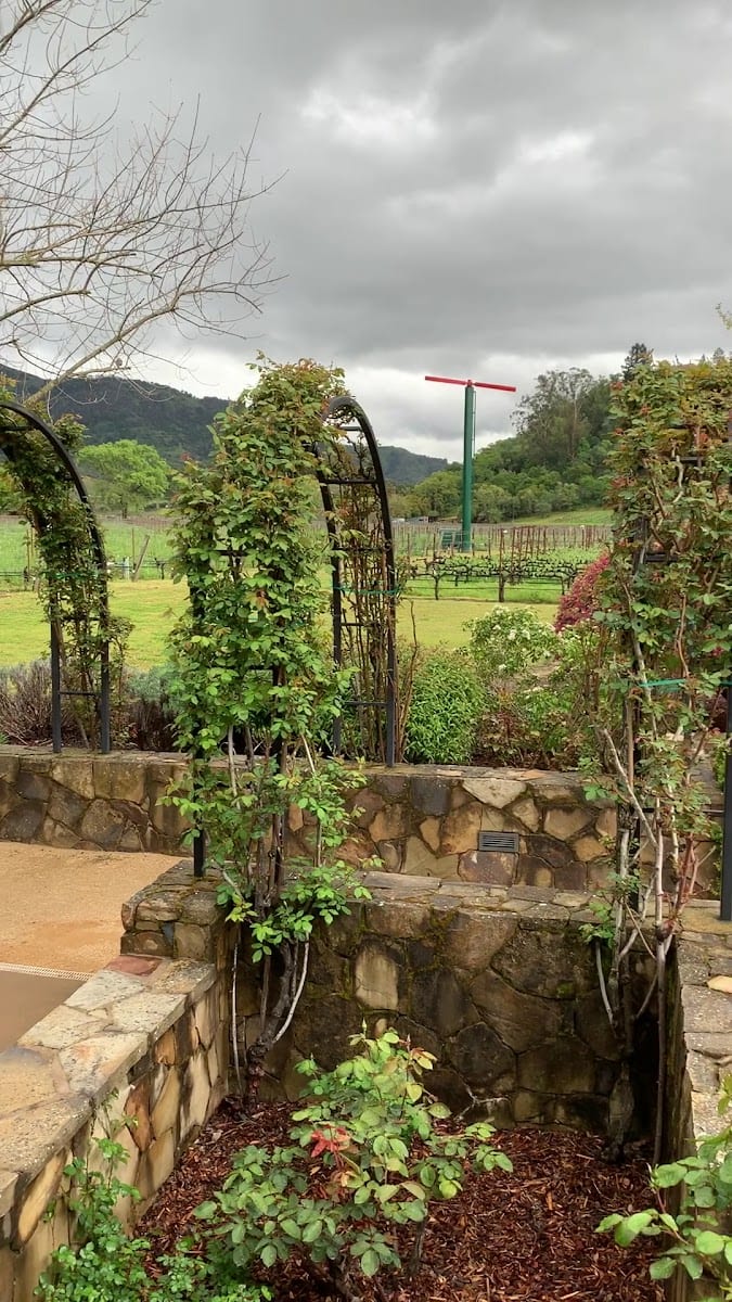 Cliff Lede Vineyards, photo 2
