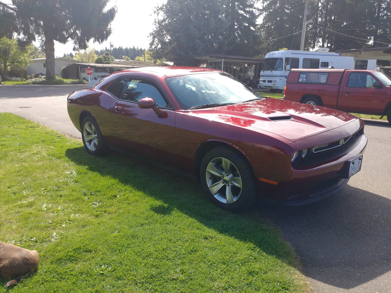 Enterprise Rent-A-Car, photo 2