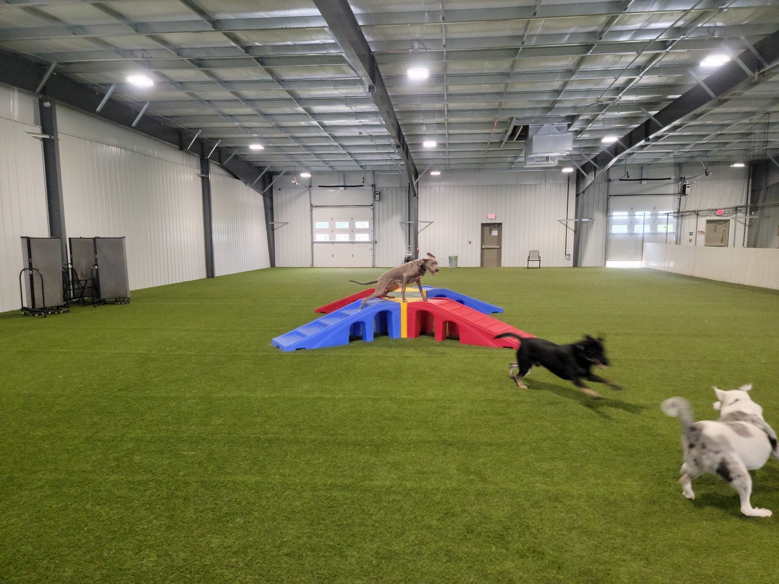 Ruff House | Dog Boarding, Day Care, Indoor Dog Park