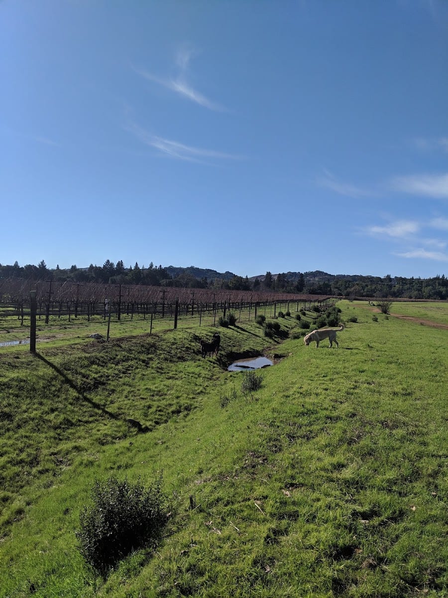 Alston Park Off-Leash Dog Area