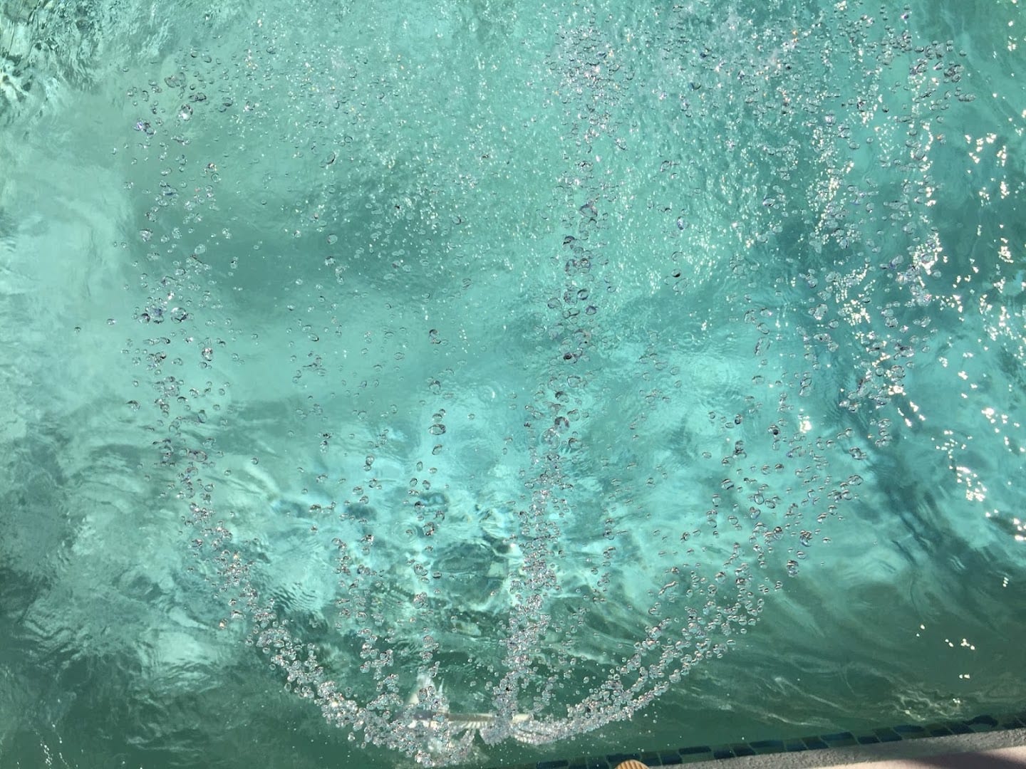 5 O'Clock Pools, photo 4