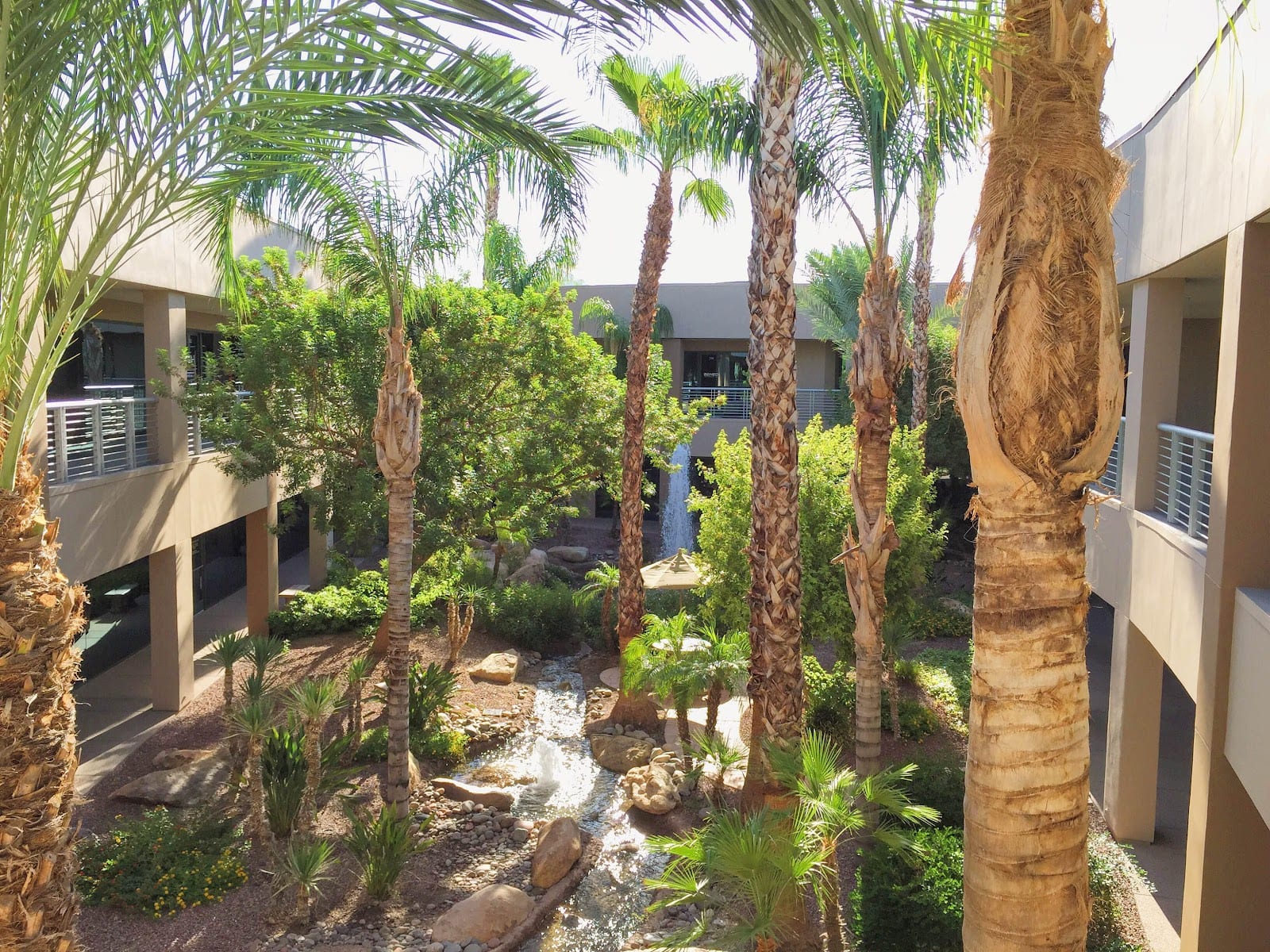 Creative Healing Solutions - Naturopathic Doctor Scottsdale, photo 4