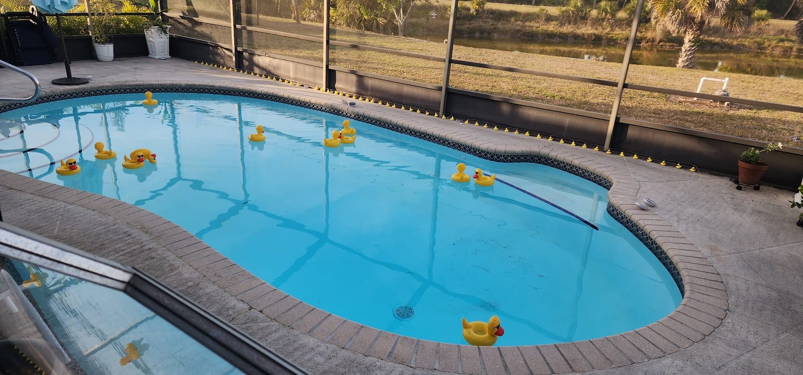 Integrity Pool Service, photo 3