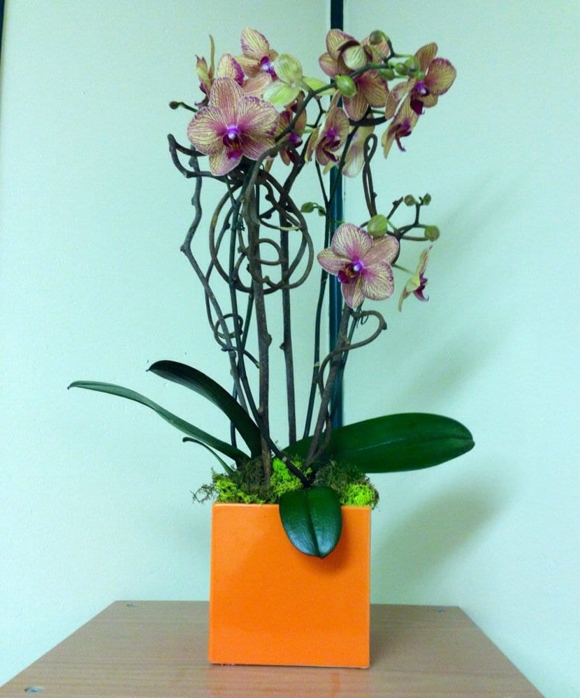 Sutter Place Dental Group: Nathaniel K. Minami, DDS, photo 3