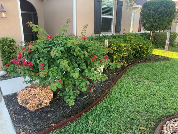 Punta Gorda Pest Control, photo 2