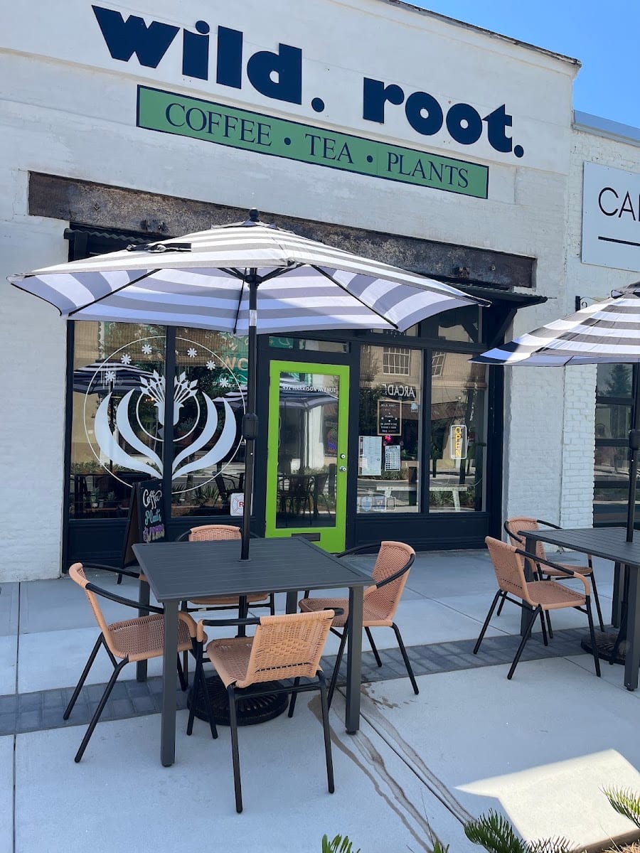 Wild Root Coffee & Tea, photo 2