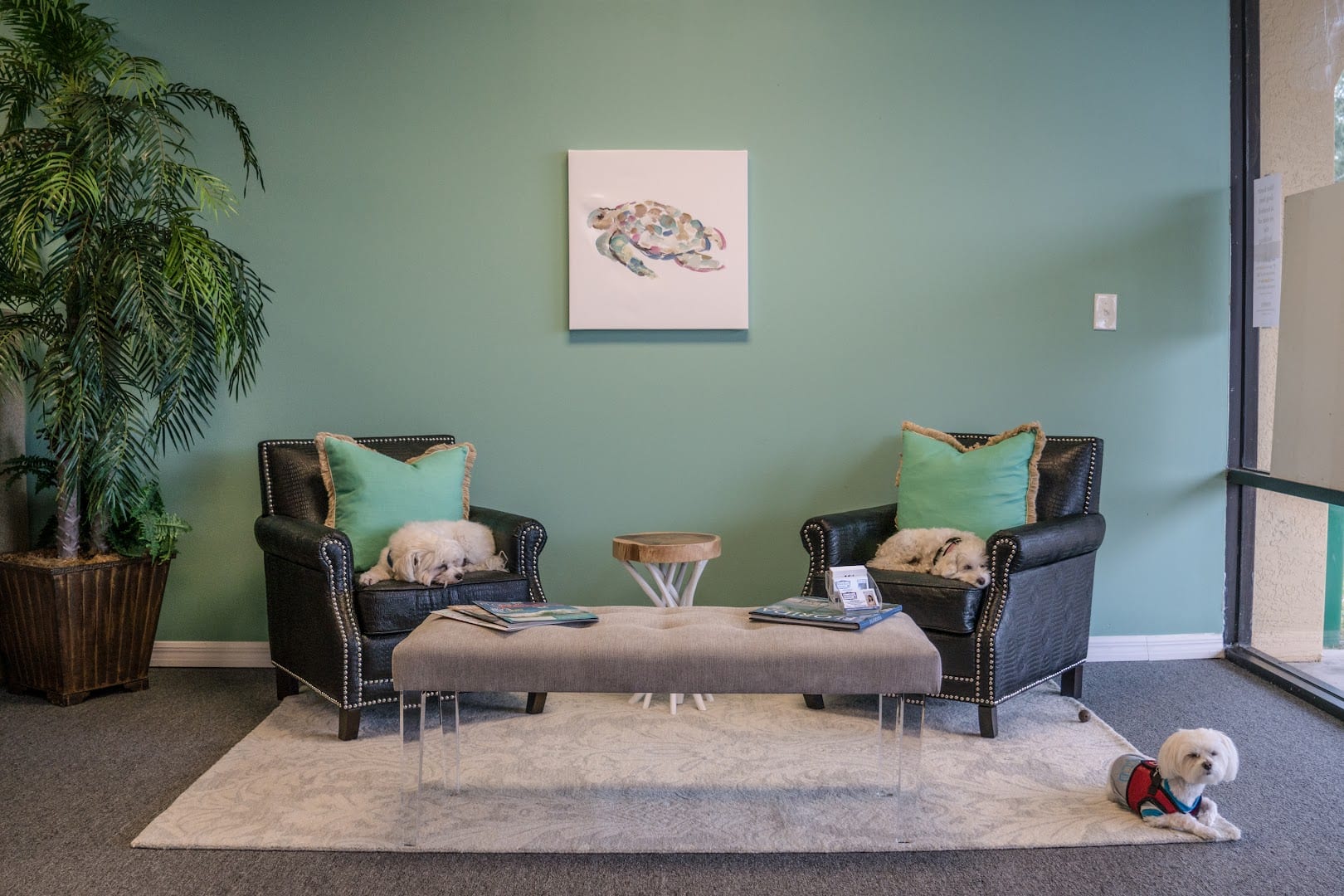 Douglas Realty Property Management, photo 2