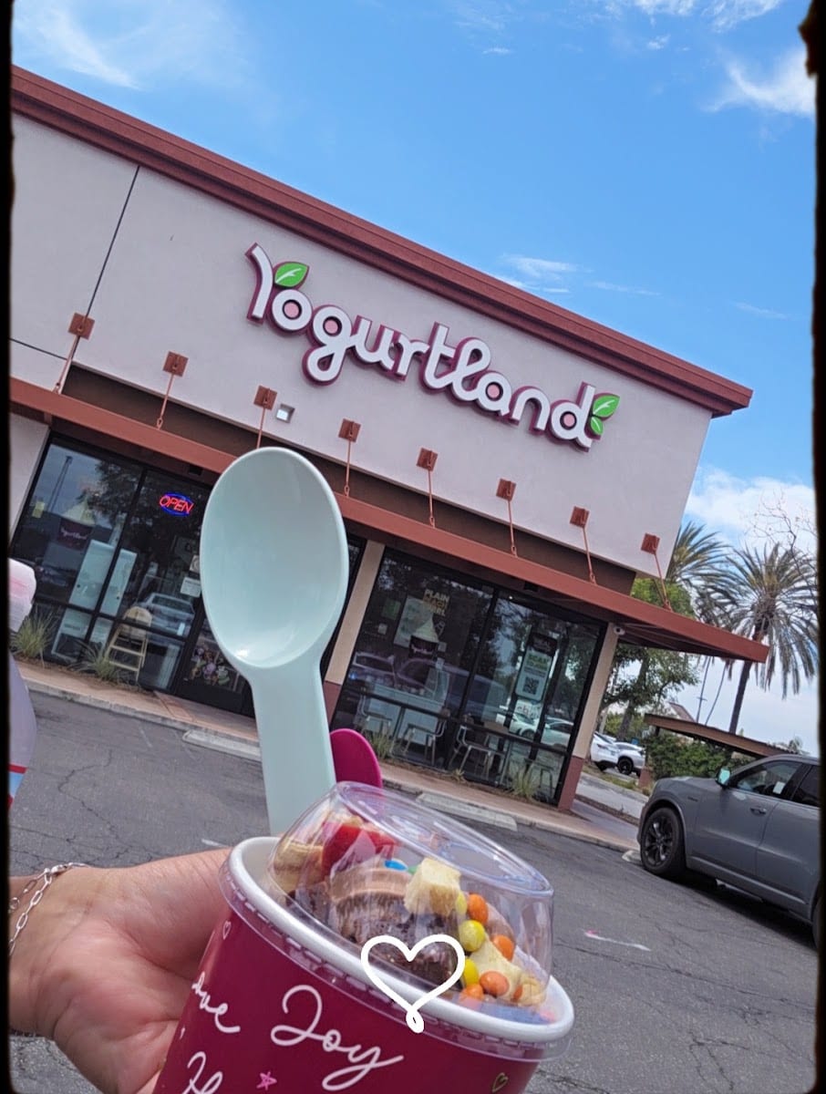 Yogurtland Garden Grove, photo 2