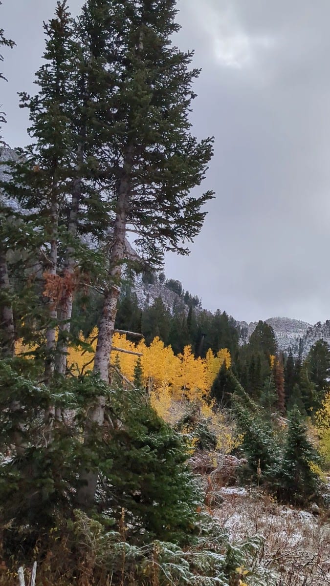 High Creek Canyon Trailhead, photo 2