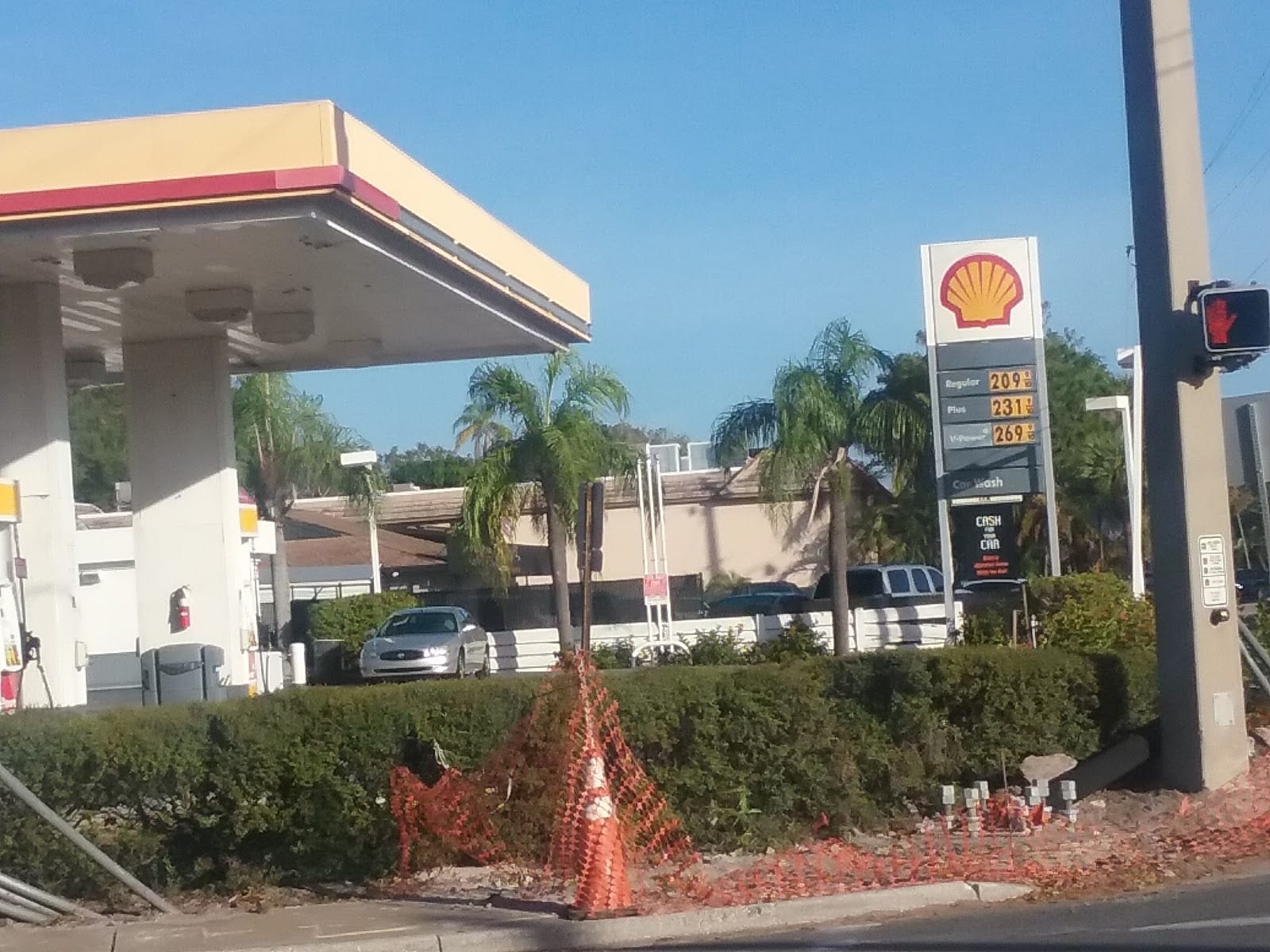 Shell, photo 3
