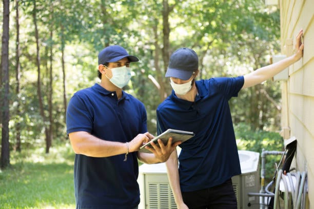 Pest Control Little Elite's LLC