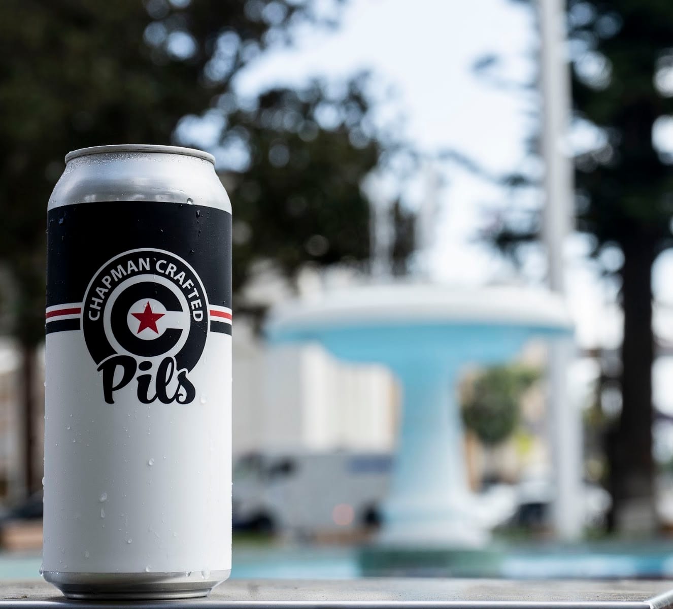 Chapman Crafted Beer, photo 2